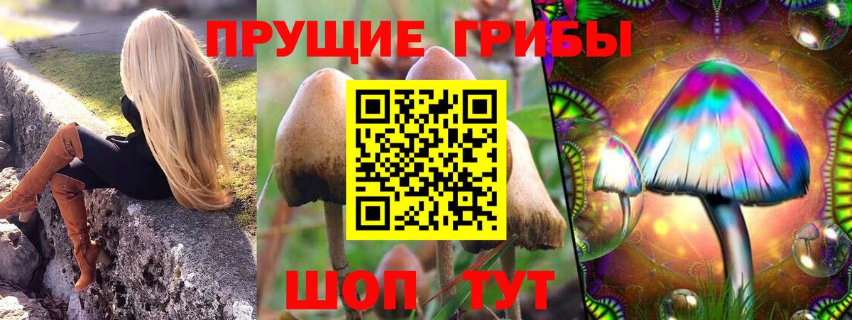 Алушта  Галлюциногенные грибы Cubensis  Вход с VPN 