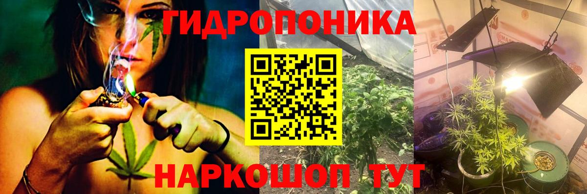 Шишки марихуана сатива  Шишки марихуана конопля  Бошки марихуана THC 21%  Алушта  Вход с VPN  Марихуана White Widow 